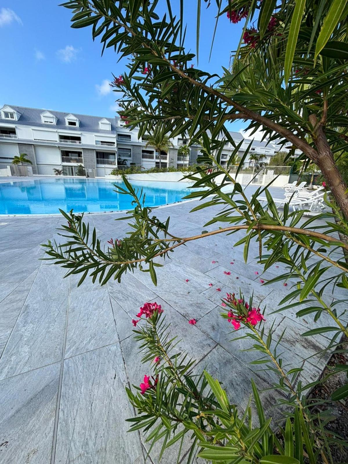 Easy Friendly Sxm Apartment Cul de Sac Екстериор снимка